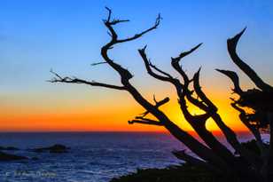 Point Lobos Point Sunset-5966